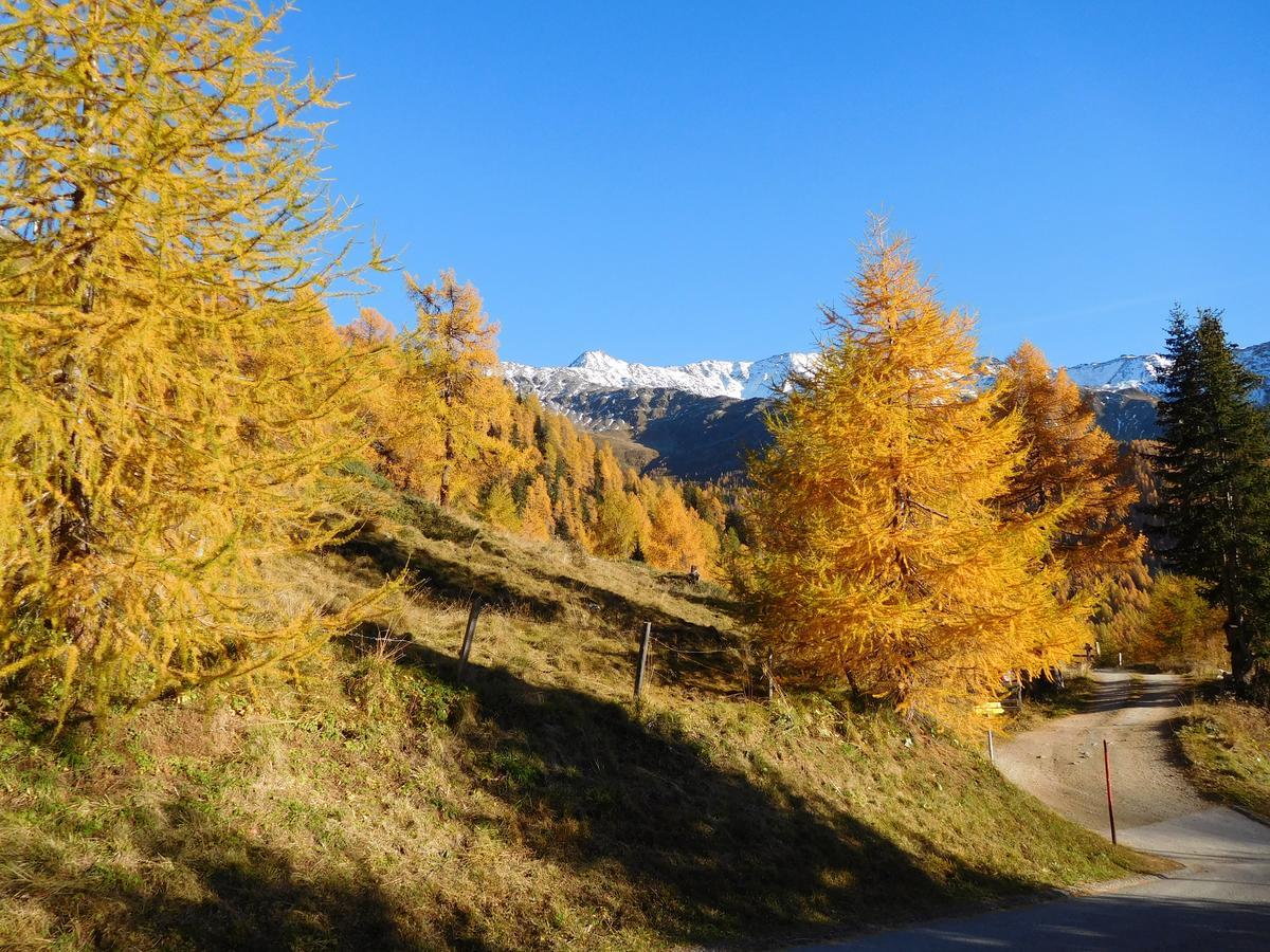 Haus Panoramablick Διαμέρισμα Kals-am Großglockner Εξωτερικό φωτογραφία